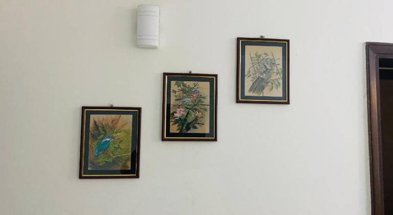 foto21