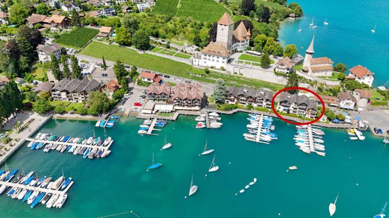 Ferienwohnung in Spiez, Faulensee für max. 2 Gäste