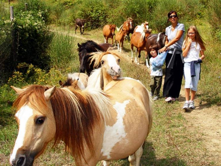 Val di Boccio: Appartamento Gelsomino — photo 5