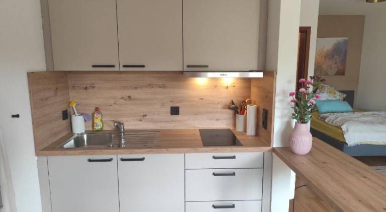Pleasant rental apartment | Pet-friendly — photo 3