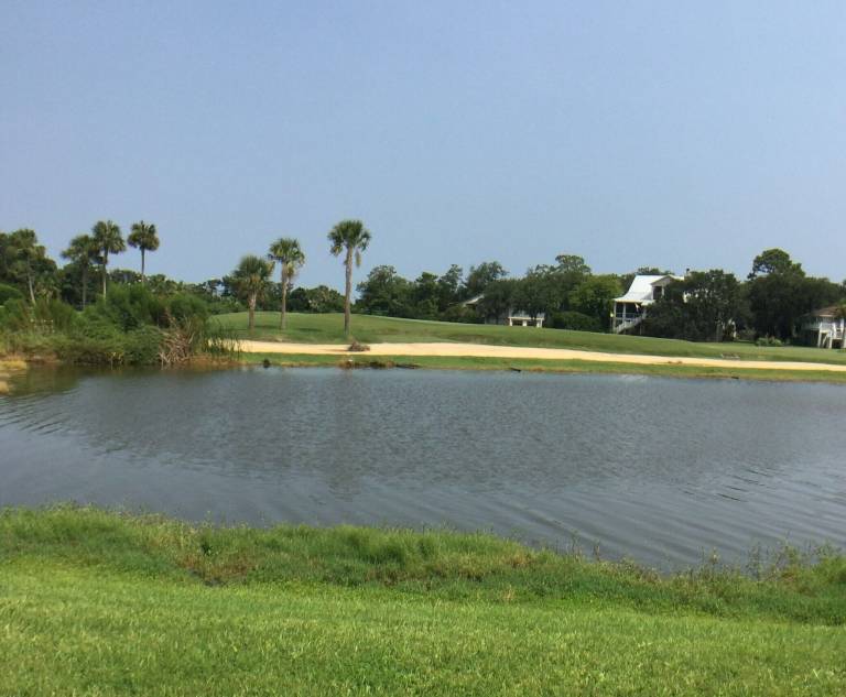 Condo  Sea Island