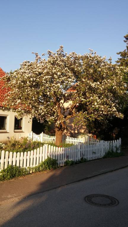 Ferienwohnung  Marienleuchte