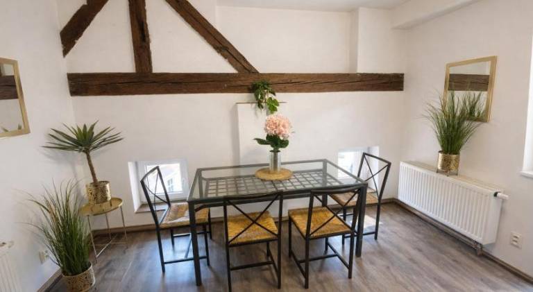 Rental apartment | Next to Holy Trinity Column — photo 3