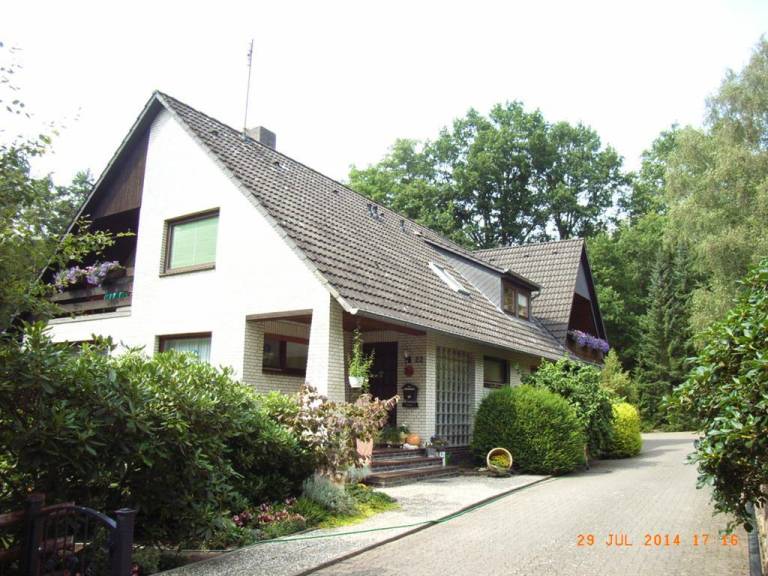 foto8