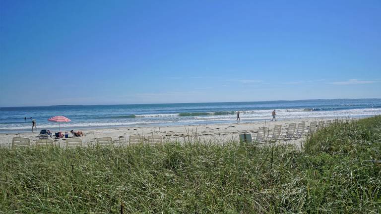 Cottage Pine Point