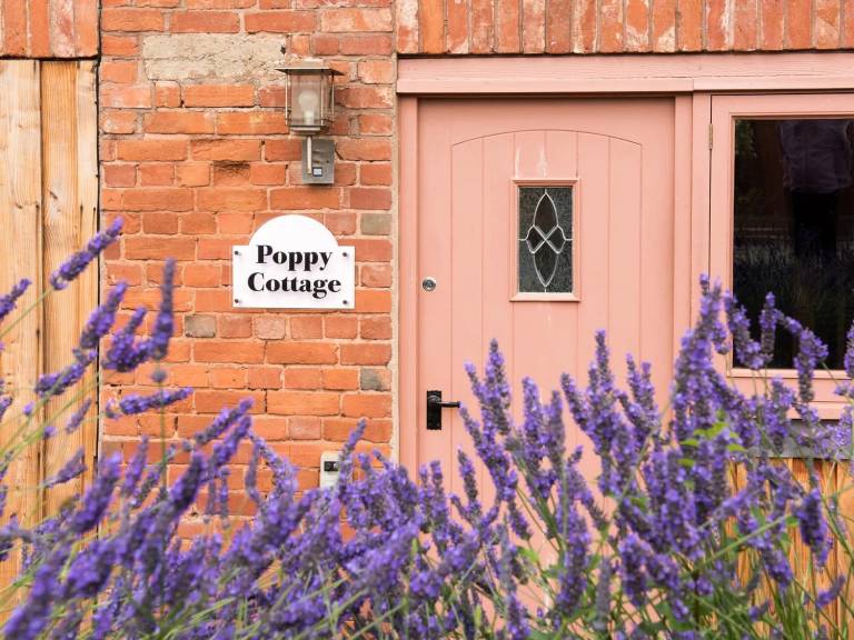 Poppy Cottage Great Houndbeare Farm