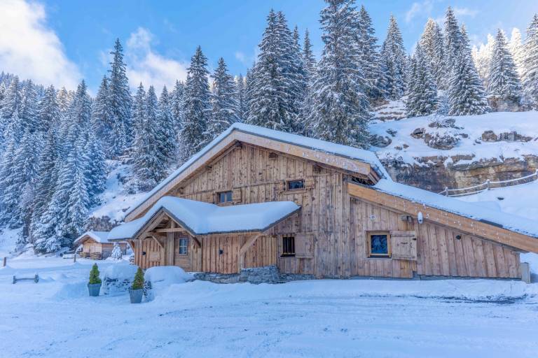 Chalet Flaine