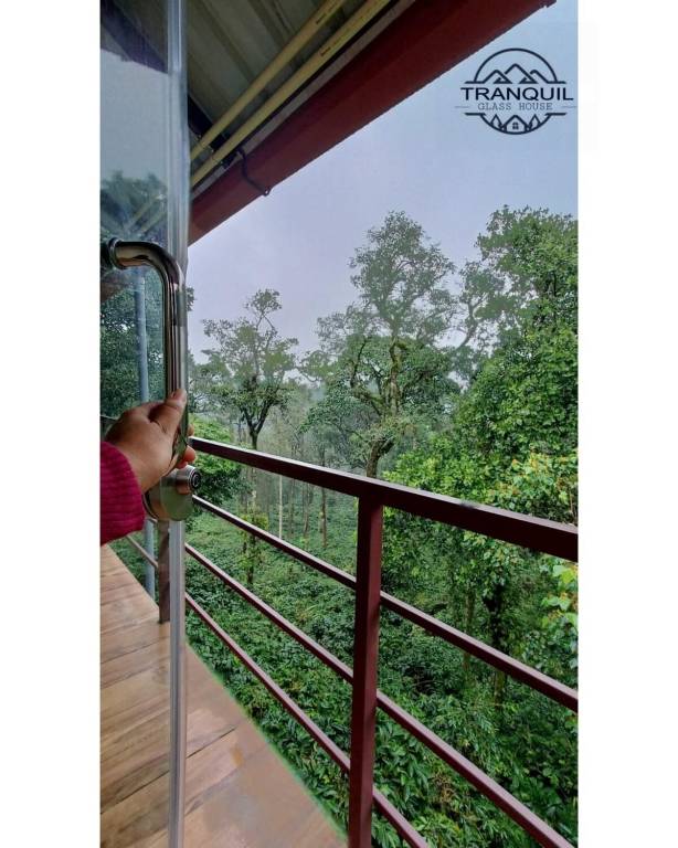 Forest heaven homestay — photo 5