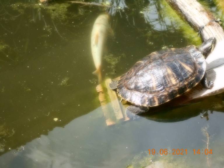 foto11