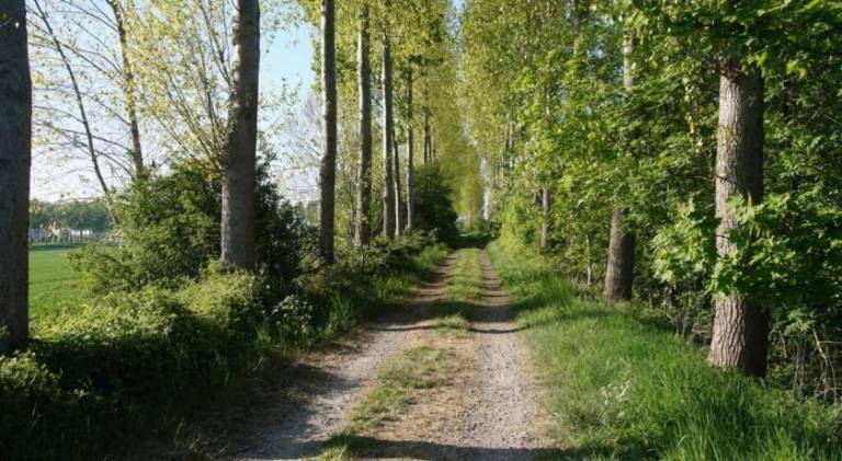 foto18