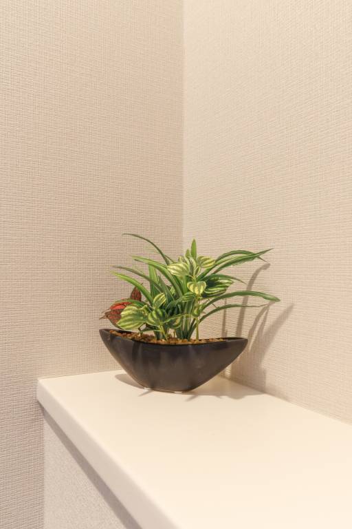 foto9