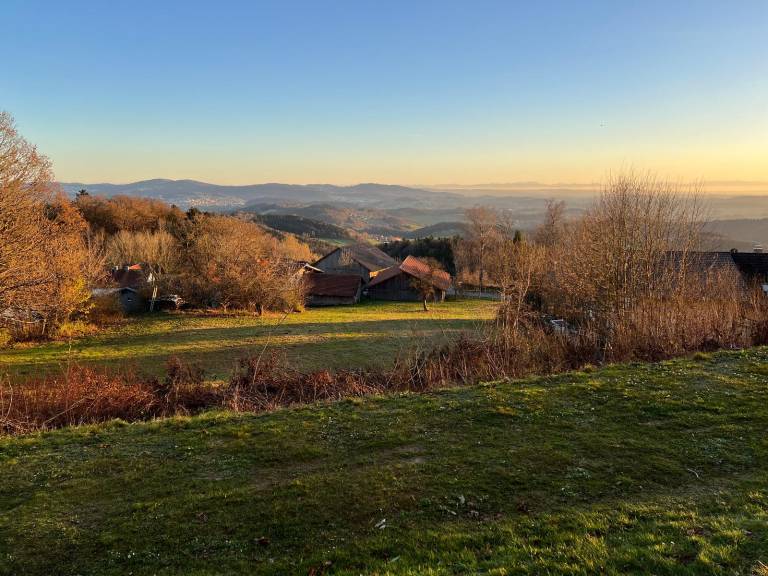 foto42