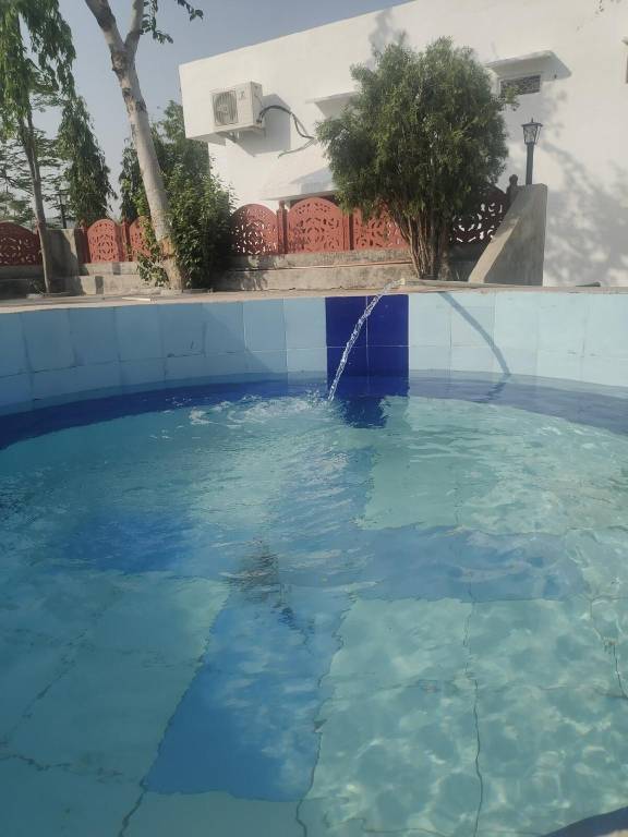 foto8