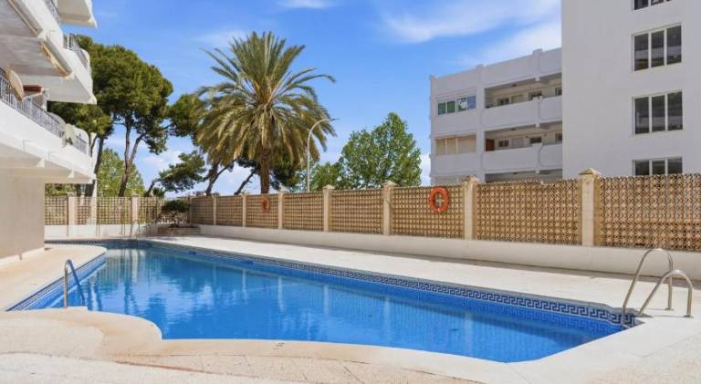 Fully equipped apartment with terrace, grill & jacuzzi | Beach nearby | Suitable for remote work | Dogs allowed — photo 3