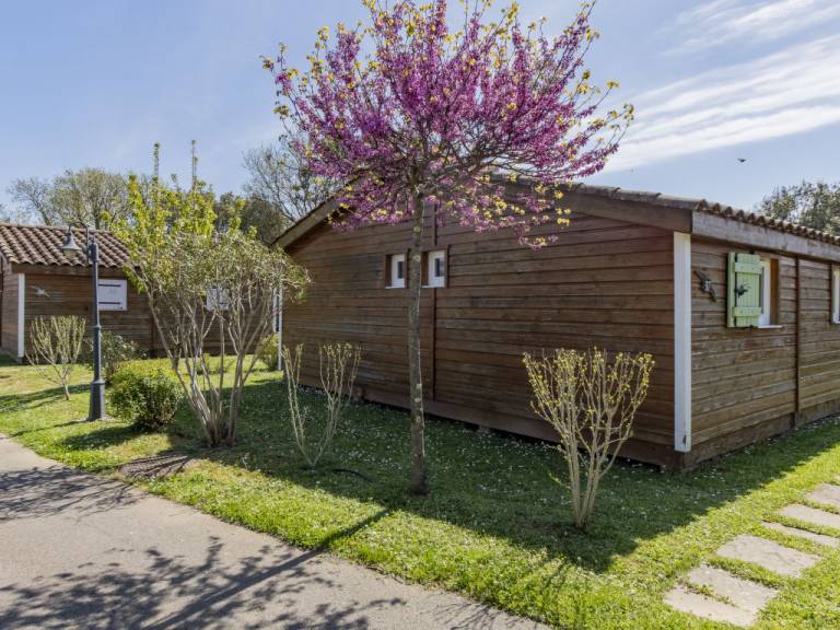 foto21