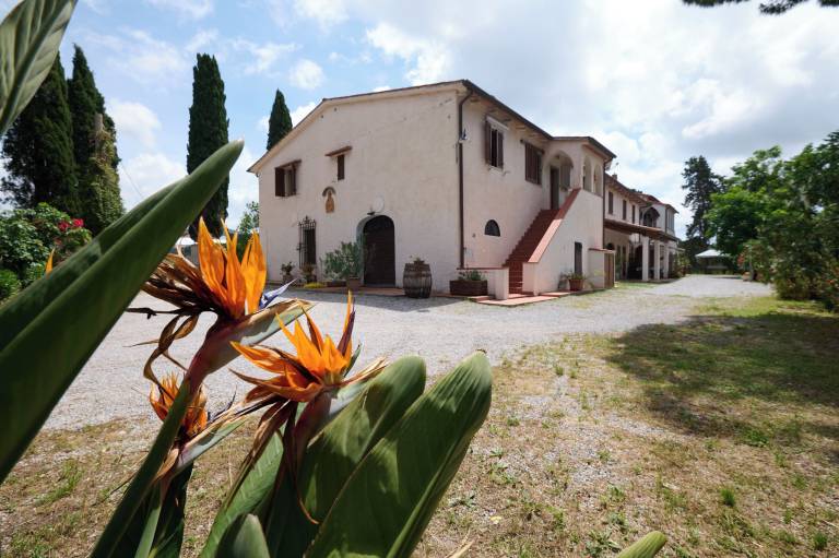 Agriturismo Venturina Terme