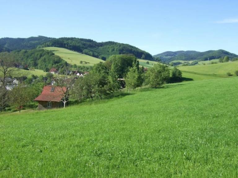 foto11
