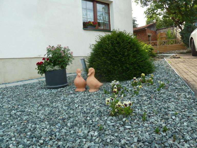 foto28