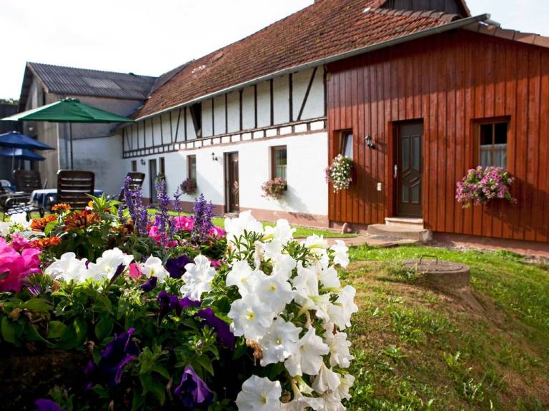 foto11