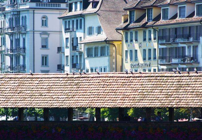 Ferienwohnung  Luzern