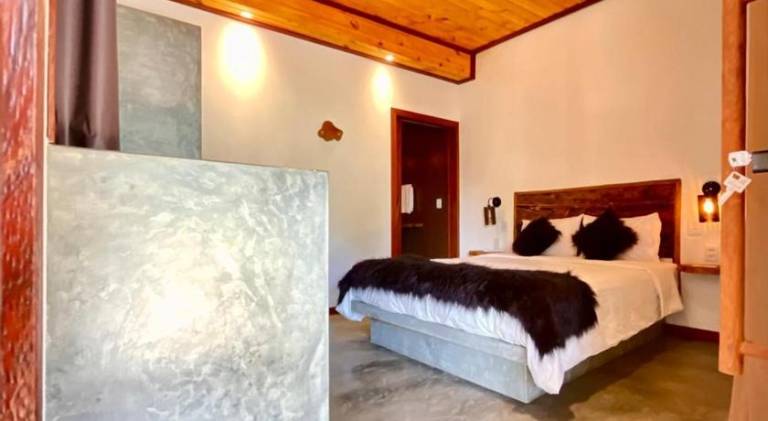 Casa Palmeira — photo 2
