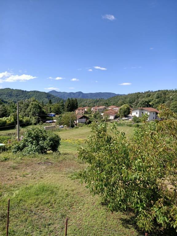 foto29