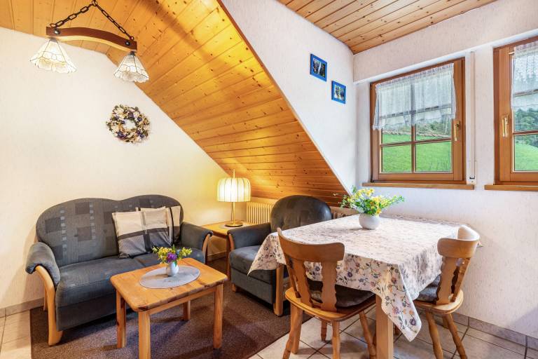 Apartment 2 in Farmhouse with Shared Terrace, Garden, and Wi-Fi in Karlsruhe