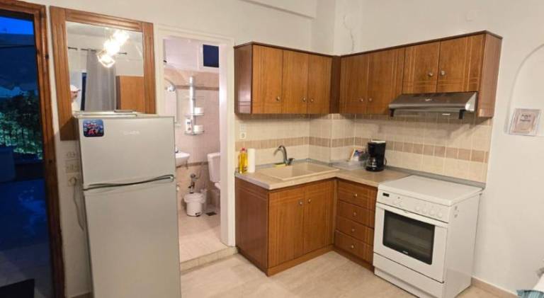 Apartment with terrace — photo 3