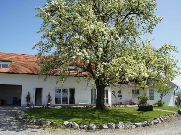 Ferienwohnung Rickatshofen