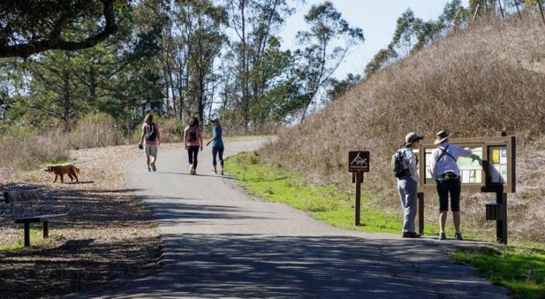 foto18