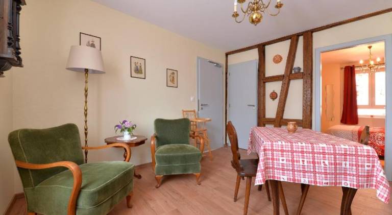 Rental apartment | Suitable for remote work | Pets are welcome in Sélestat
