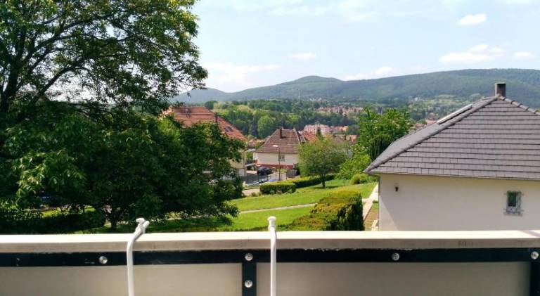 foto11