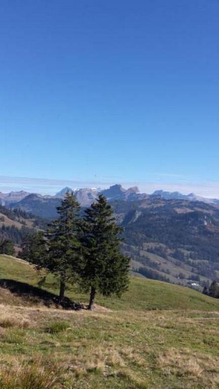 foto12