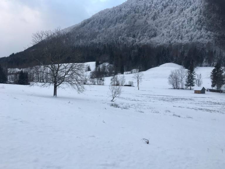 foto15
