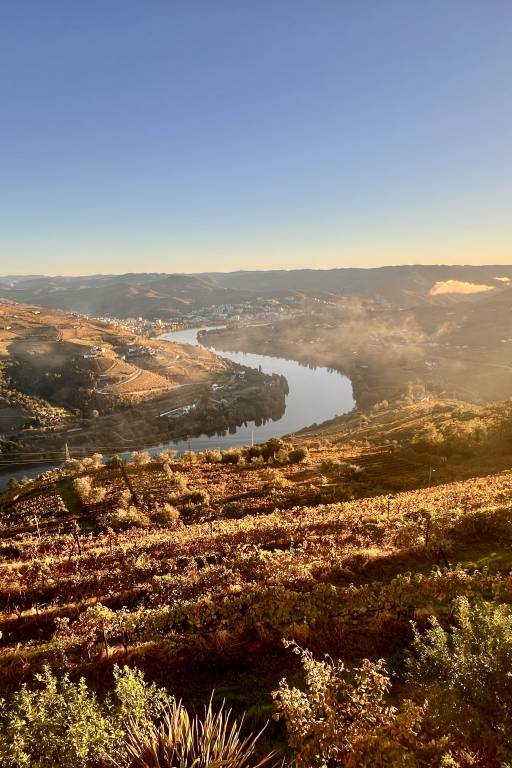 Ferienhaus mit Hund inSamodães, Portugal  f&uuml;r max. 5 Personen