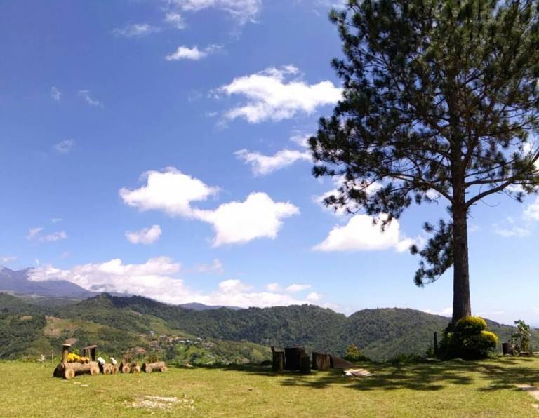foto49