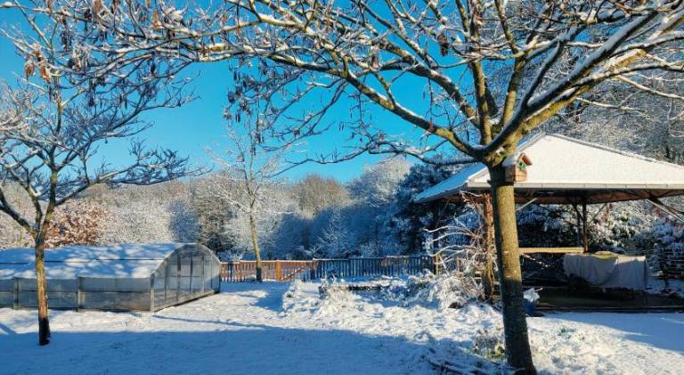 Gite L'Oree des Bois — photo 5