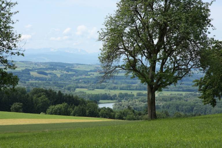 Ferienwohnung  Amstetten