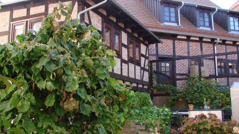 Ferienwohnung  Wolgast