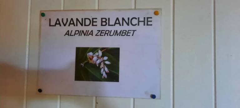 foto8
