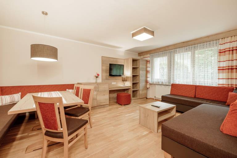 Apartment with terrace — photo 4