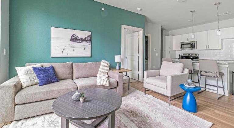 Holiday apartment | Good for workation | Pets allowed in Conroe, TX
