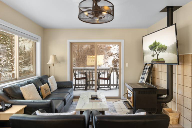 Completely Remodeled Townhome On Uncompahgre River! Walk to Town — photo 2