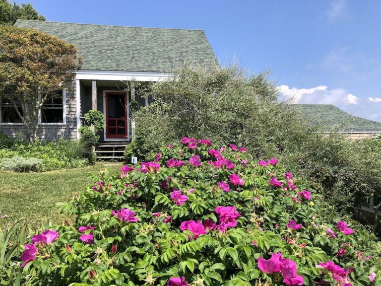 Bed and breakfast  Block Island