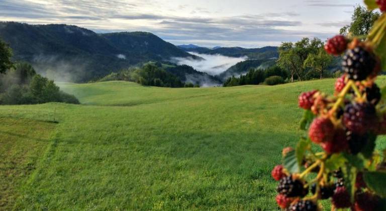 foto16