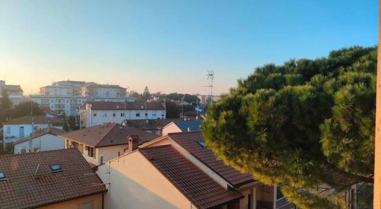 Beautiful holiday apartment | Dogs allowed — photo 5
