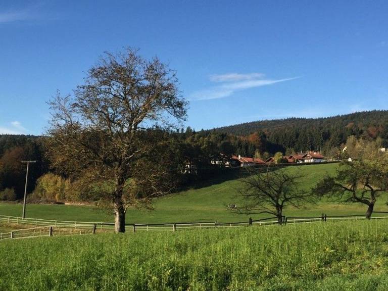 foto17