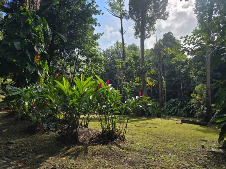 foto13