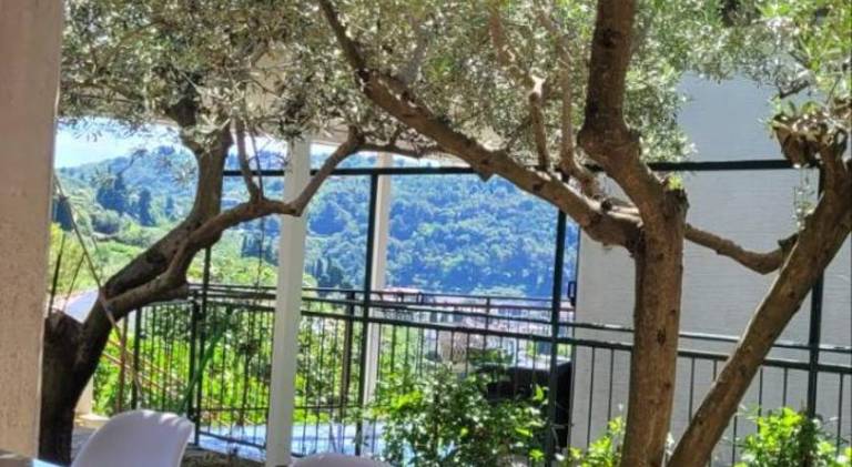 Holiday apartment | Pet-friendly in Piran