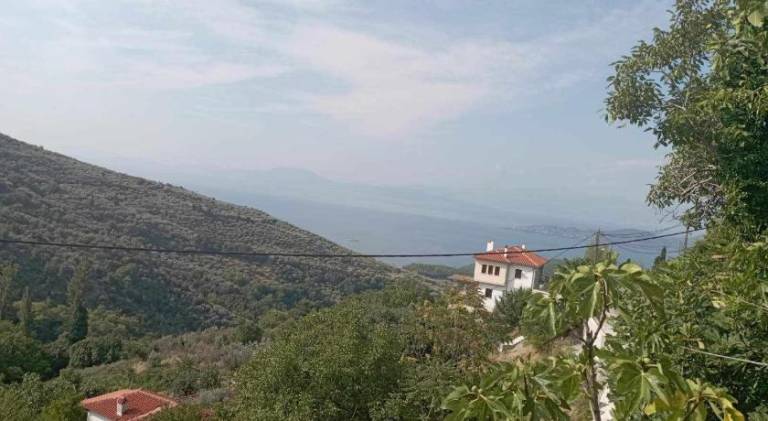 foto41